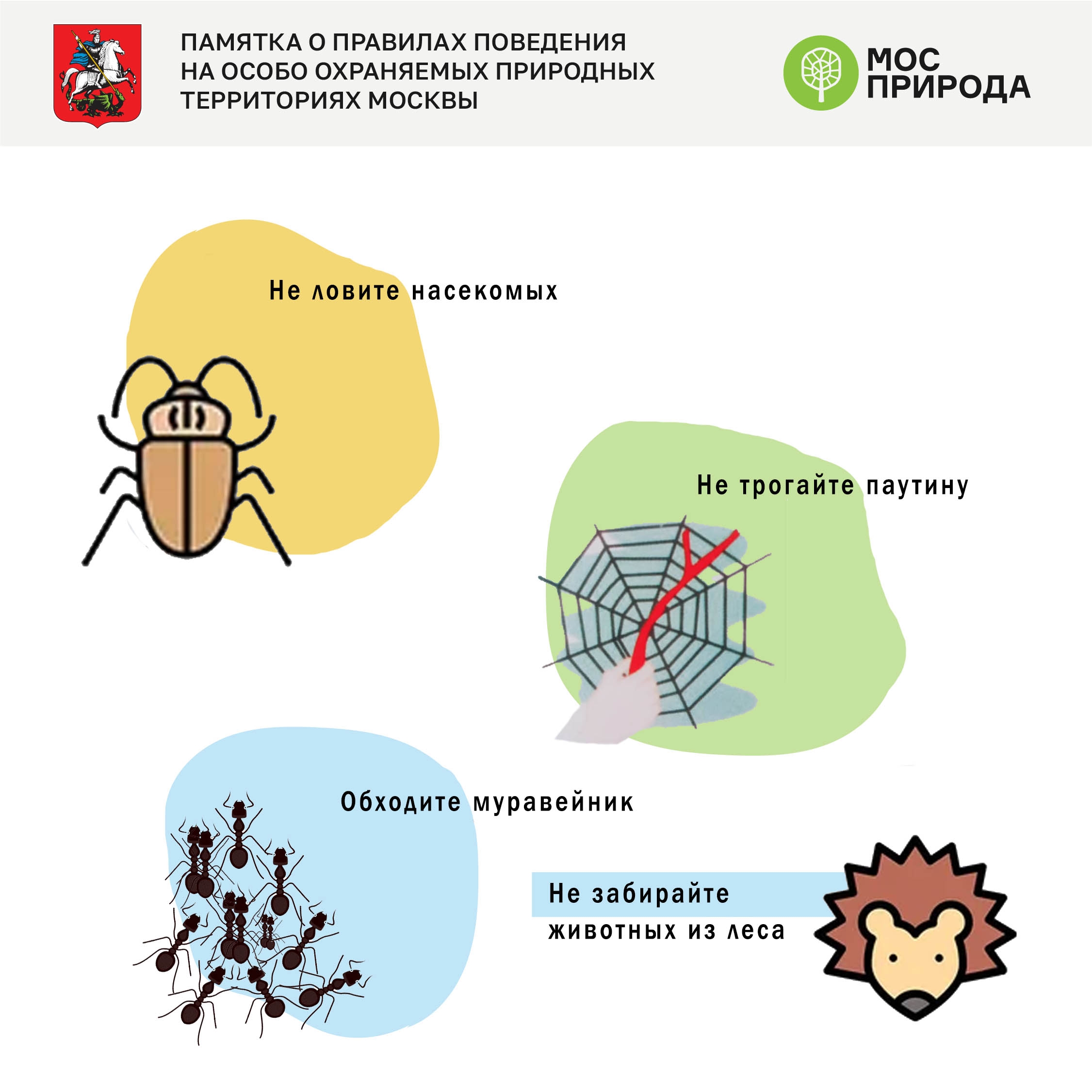 Не навреди: Мосприрода напомнила правила поведения на особо охраняемых  природных территориях Москвы | 18.05.2021 | Москва - БезФормата