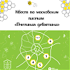 Пчелиная девятина: Мосприрода подготовила квест по московским пасекам