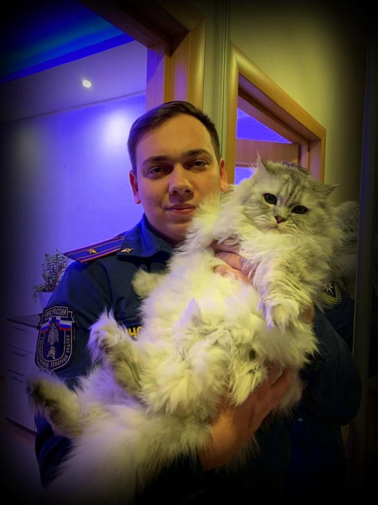 День кошки в России