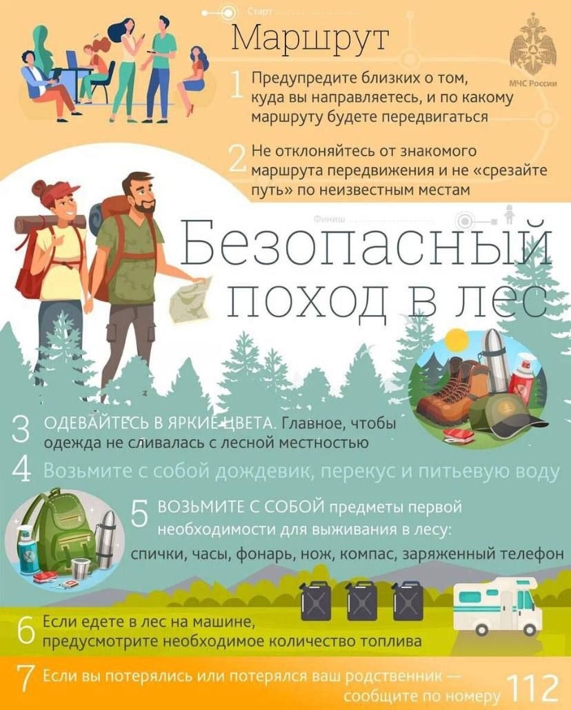 Памятка безопасный поход в лес Памятка безопасный поход в лес