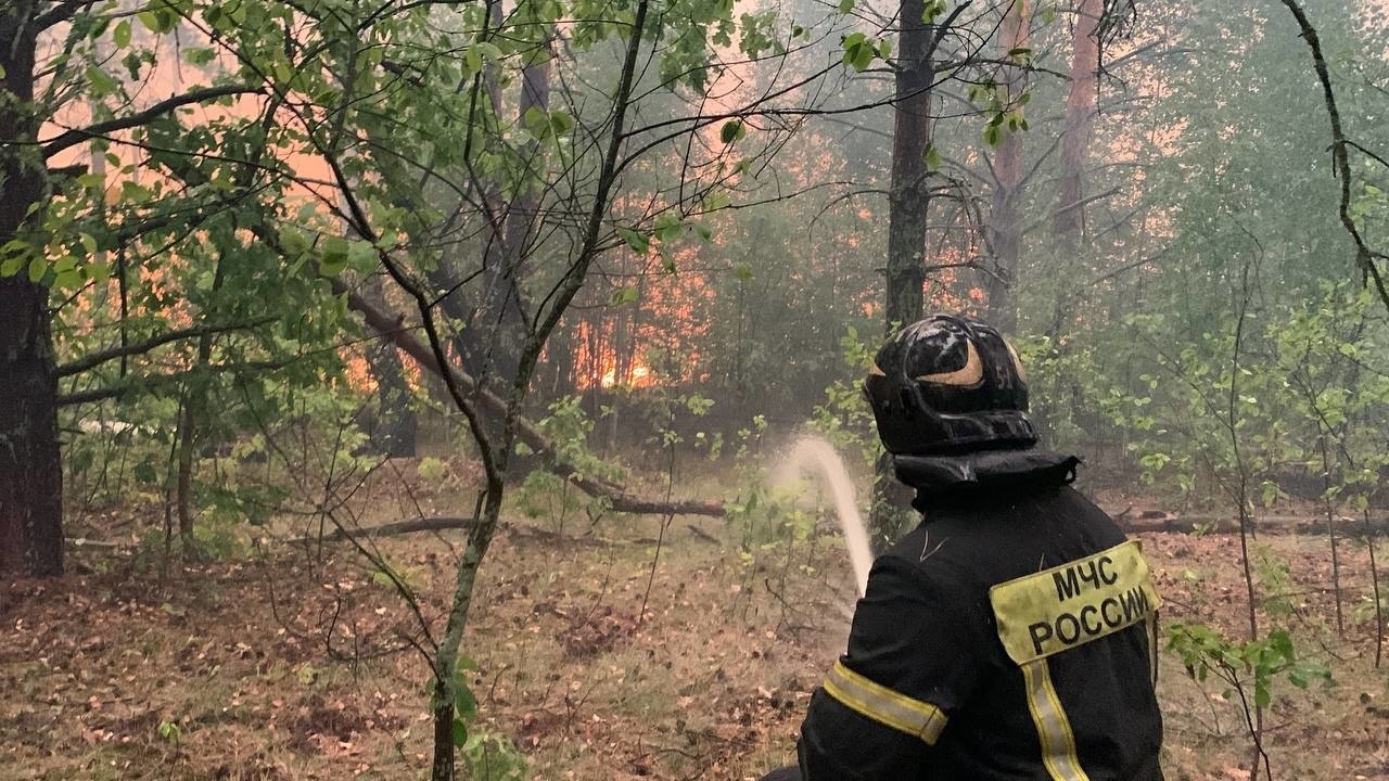Пожары в Рязани