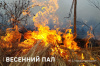 Весенний пал